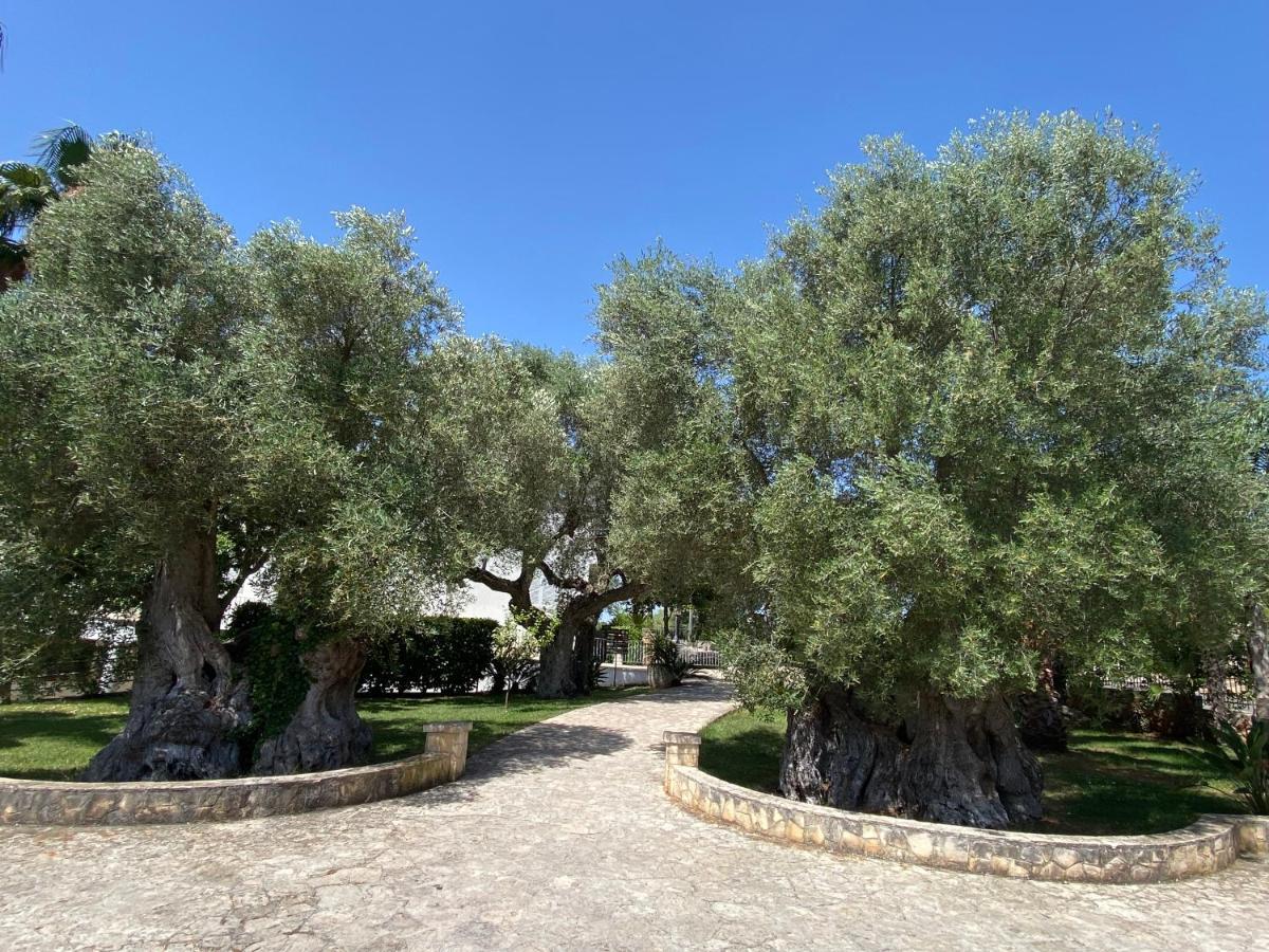 Città Bianca Country Resort Ostuni Exterior foto