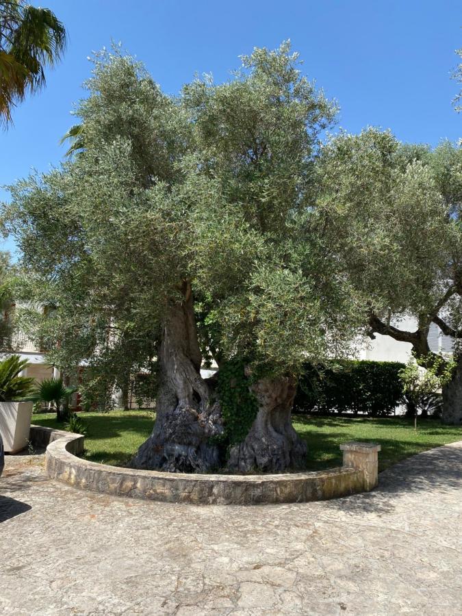 Città Bianca Country Resort Ostuni Exterior foto